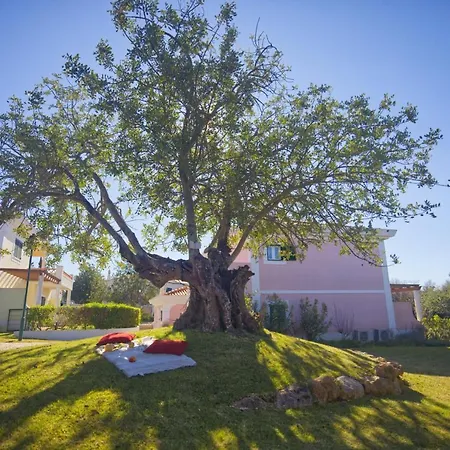 Cegonha Country Club מלון 4*